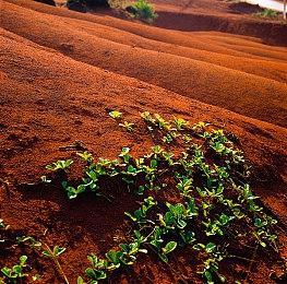 《Shadow of Pharos》PC免费发布 沉浸式恐怖探索