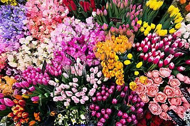 《索尼克2022》将为未来的《索尼克》游戏奠定基础